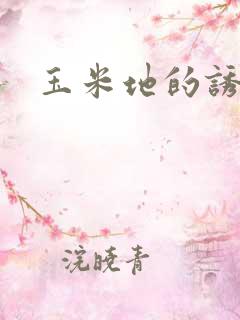 玉米地的诱惑
