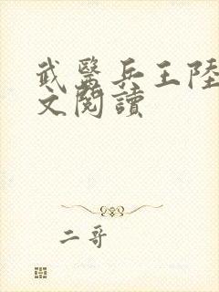 武医兵王陆轩全文阅读