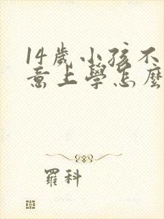 14岁小孩不愿意上学怎么办