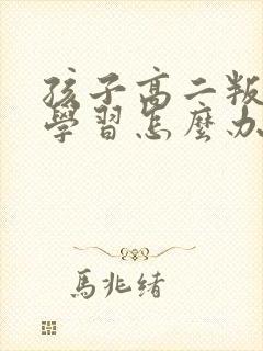 孩子高二叛逆不学习怎么办