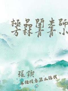 极品开光师李南方林青青小说叫