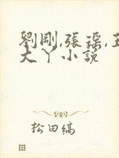 刘刚,张瑶,王大丫小说