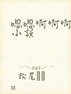 嗯嗯啊啊啊嗯啊小说