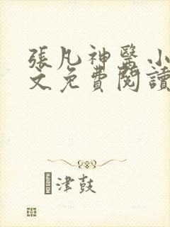 张凡神医小说全文免费阅读