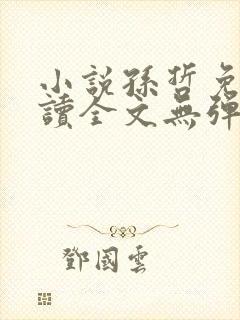 小说孙哲免费阅读全文无弹窗