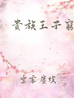 贵族王子穷公主