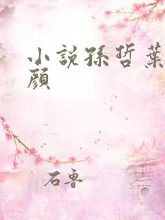 小说孙哲叶巧朱颜