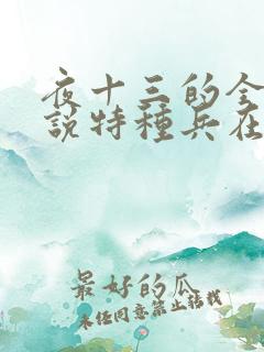 夜十三的全部小说特种兵在都市