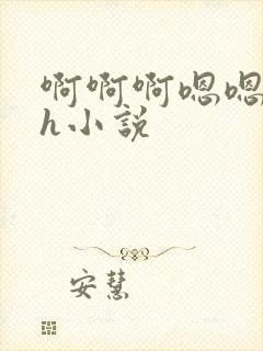 啊啊啊嗯嗯嗯高h小说