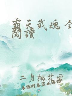 霸天武魂 全文阅读