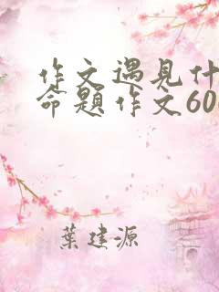作文遇见什么半命题作文600字