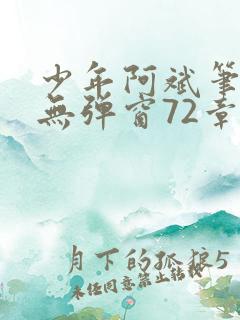 少年阿斌笔趣阁无弹窗72章
