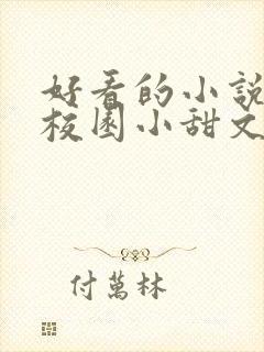 好看的小说言情校园小甜文