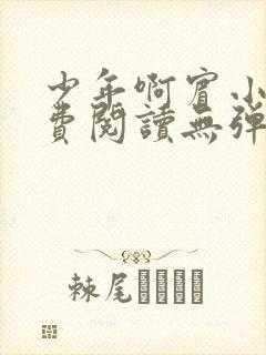 少年啊宾小说免费阅读无弹窗最新章节