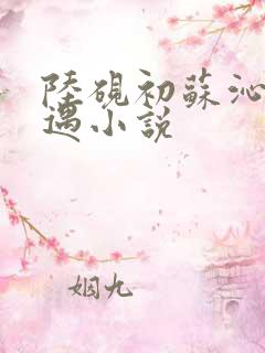 陆砚初苏沁然沈遇小说
