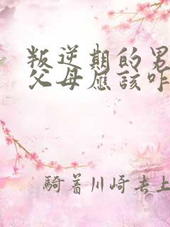 叛逆期的男孩打父母应该咋办