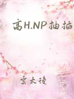 高H.NP抽插
