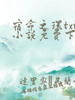 宿命之环txt小说免费下载