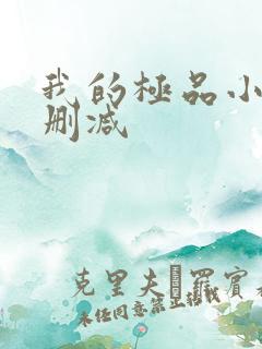 我的极品小姨无删减