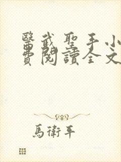 医武圣手小说免费阅读全文