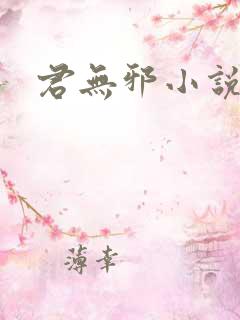 君无邪小说