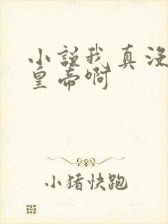 小说我真没想当皇帝啊