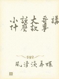 小说大哥讲的是什么故事