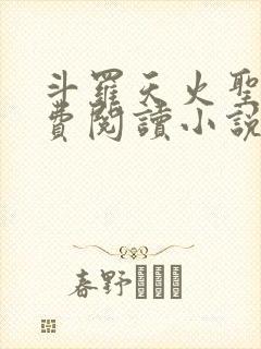 斗罗天火圣裁免费阅读小说