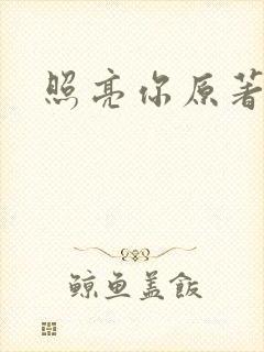 照亮你原著小说