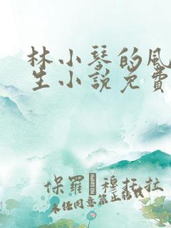 林小琴的风流人生小说免费阅读