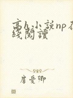 高h小说np在线阅读