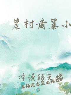 农村黄暴小说