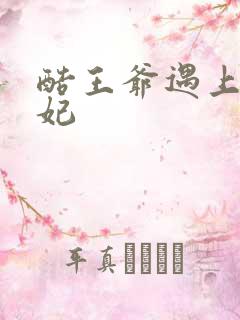 酷王爷遇上穿越妃