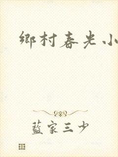 乡村春光小说