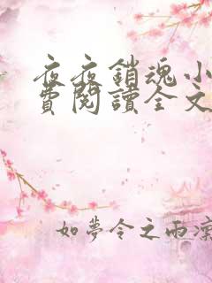 夜夜销魂小说免费阅读全文