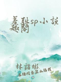 羞耻sp小说笔趣阁