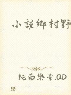 小说乡村野情