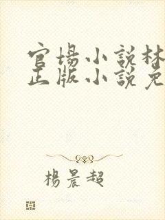 官场小说林飞扬正版小说免费阅读