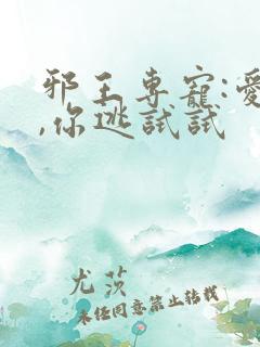 邪王专宠:爱妃,你逃试试