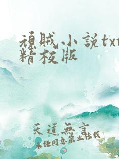 顽贼小说txt精校版