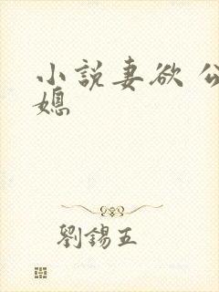 小说妻欲 公与媳