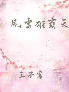 风云雄霸天下.