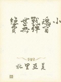 绝世战魂小说免费无弹窗