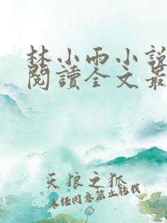 林小雨小说免费阅读全文最新章节
