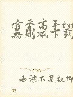 偷香高手txt无删减下载