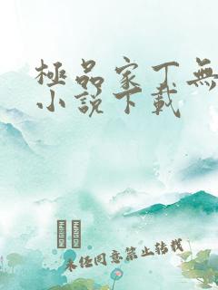 极品家丁无删减小说下载