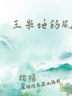 玉米地的风流
