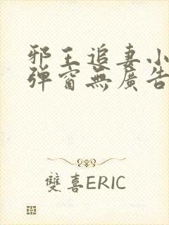 邪王追妻小说无弹窗无广告