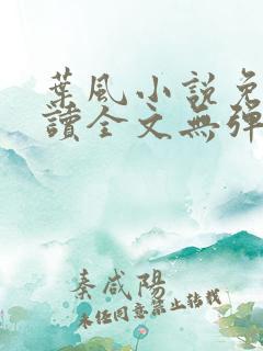 叶风小说免费阅读全文无弹窗