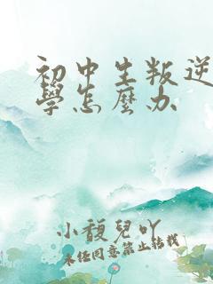 初中生叛逆期厌学怎么办